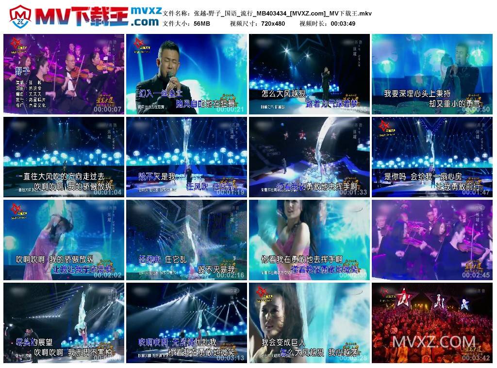 张越-野子_国语_流行_MB403434